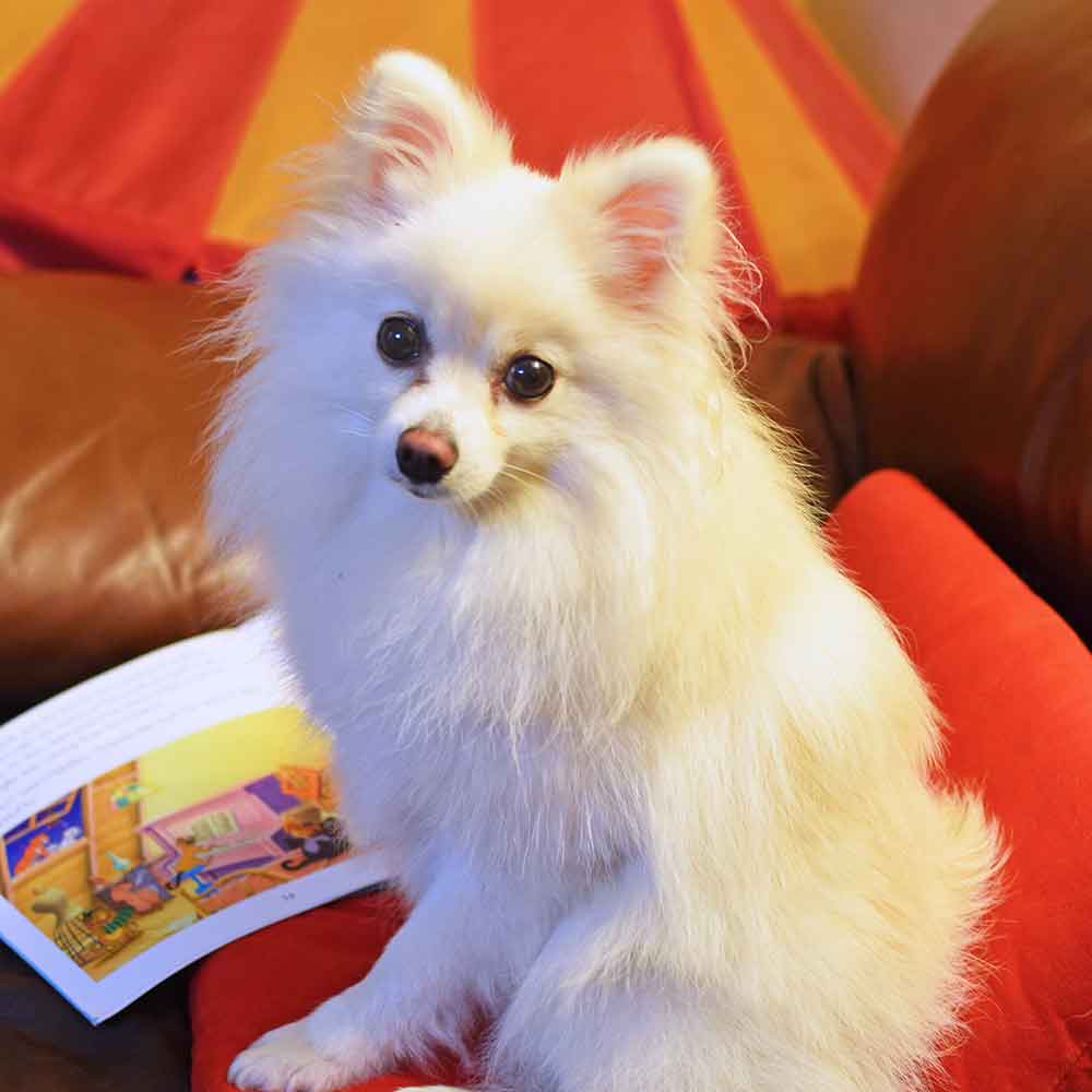 Lucy